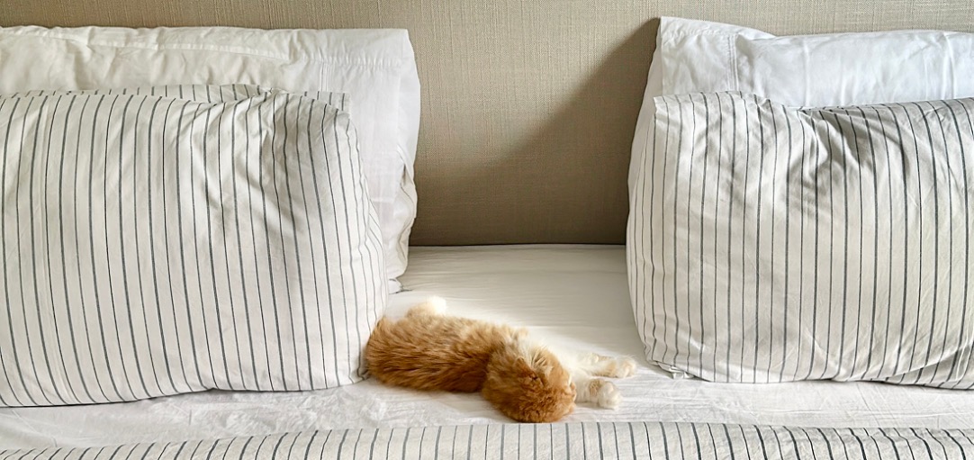 Winter-Colour-Palettes_Blog-3_Post-Banner