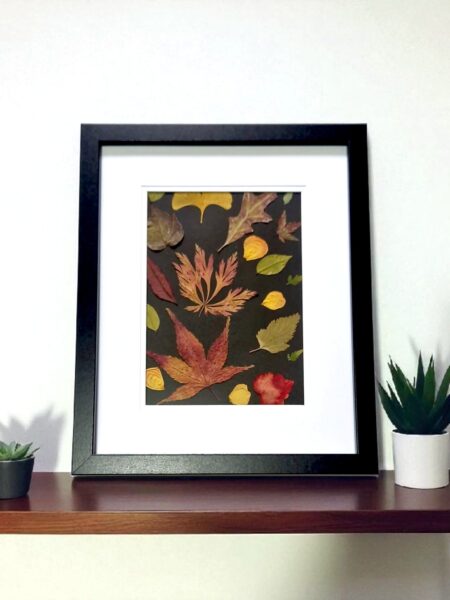 Pressed Flower Workshop - Nunawading